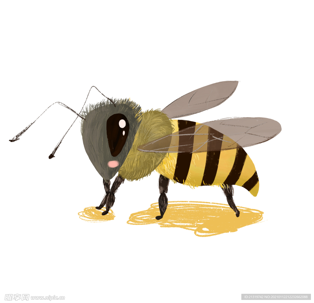 蜜蜂昆虫插画图片