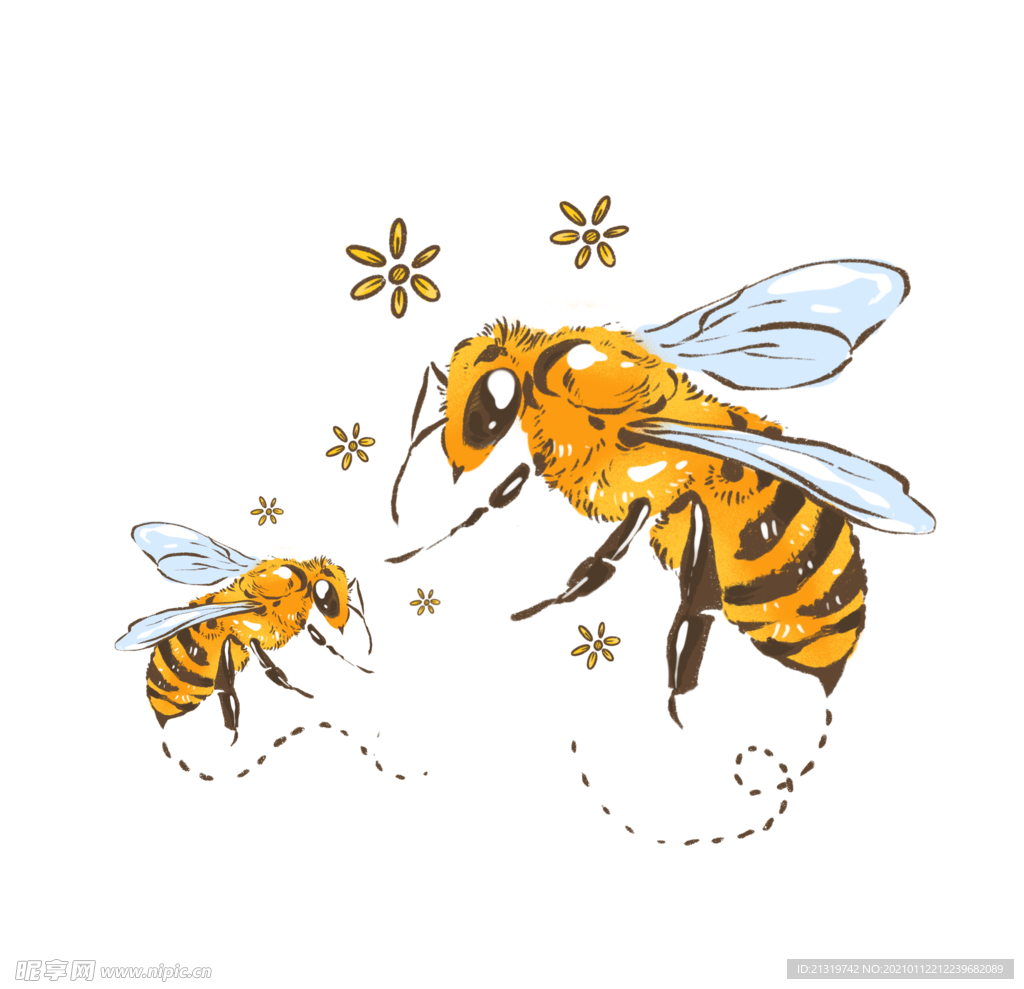 两只蜜蜂插画