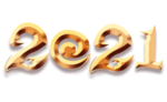 2021金色立体字