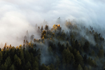 风景