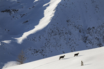 雪山