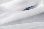 雪景
