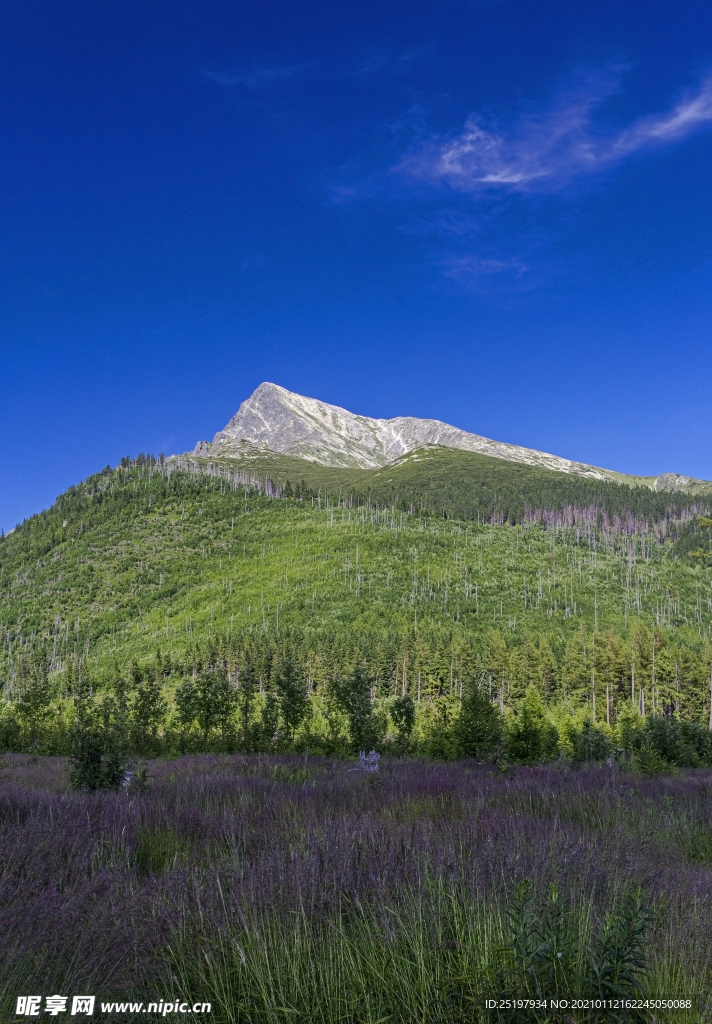 风景