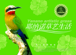 耶纳诺草艺生活