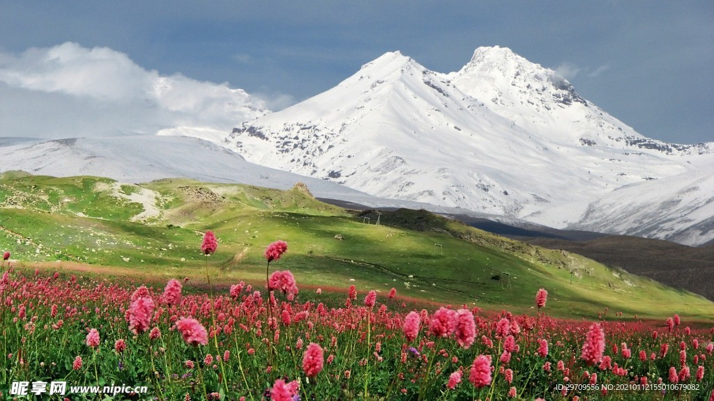 高原雪山景观