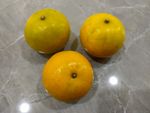 橘子