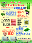 云南三七宣传单