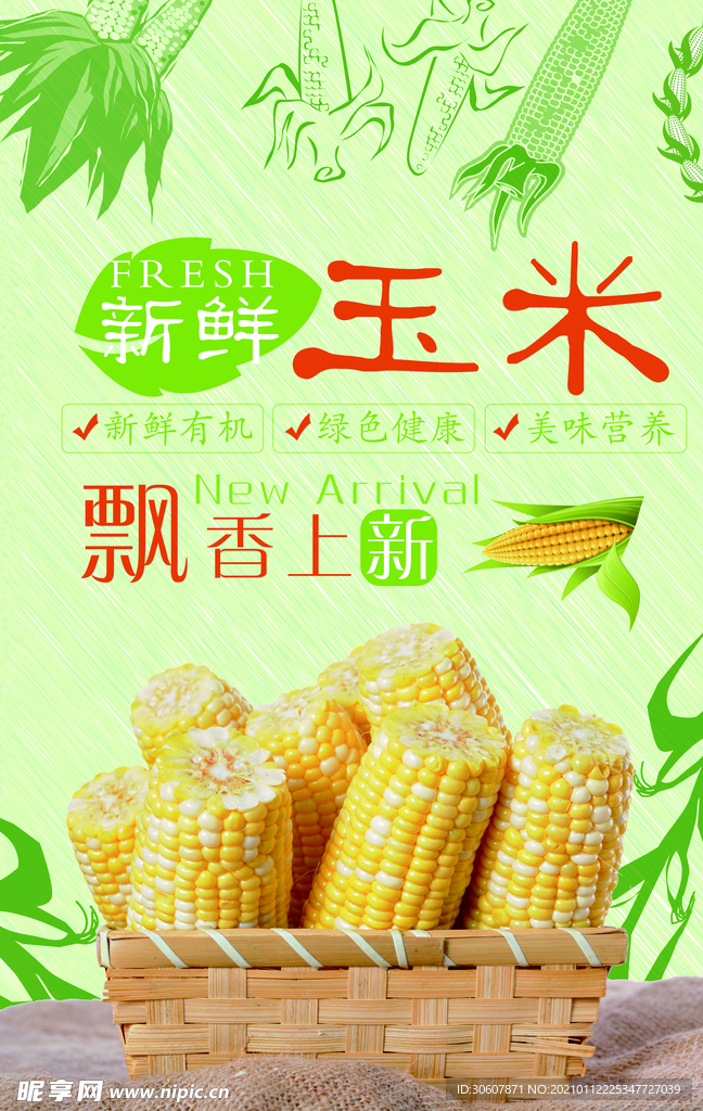 玉米海报