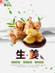 生姜海报