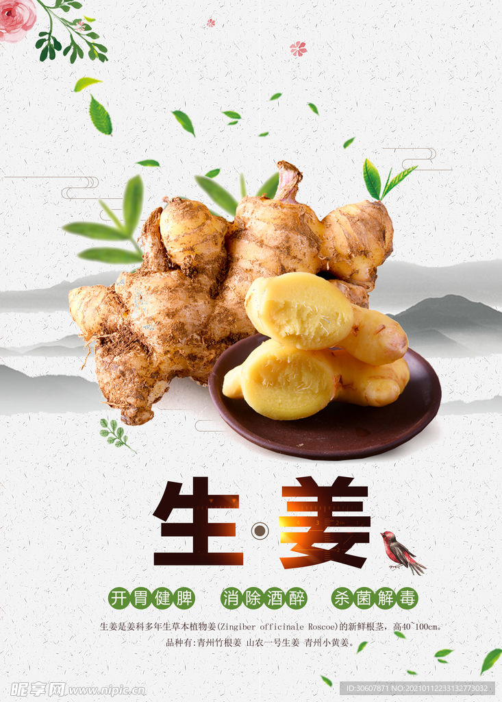 生姜海报