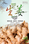 生姜海报