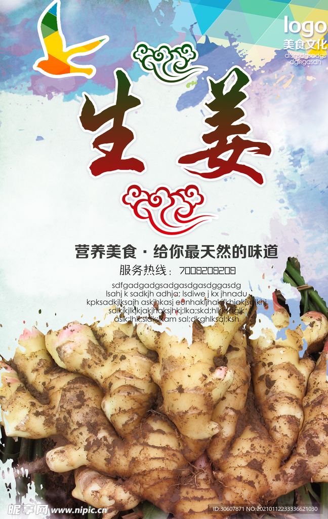 生姜海报