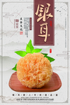 银耳海报