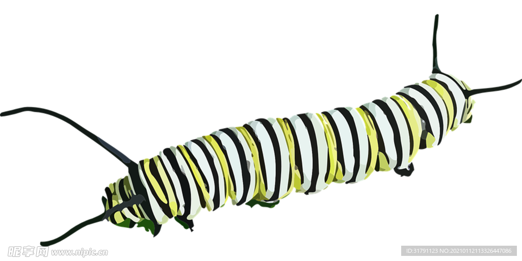 虫子