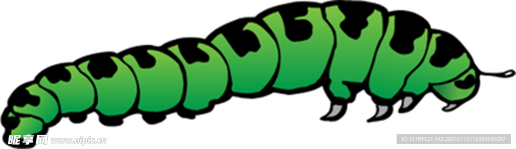 虫子