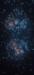 烟花  图片   唯美