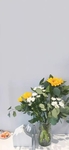 植物  花朵   图片