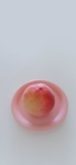 水蜜桃   水果   图片