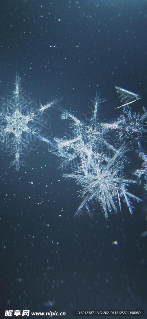 雪花  图片