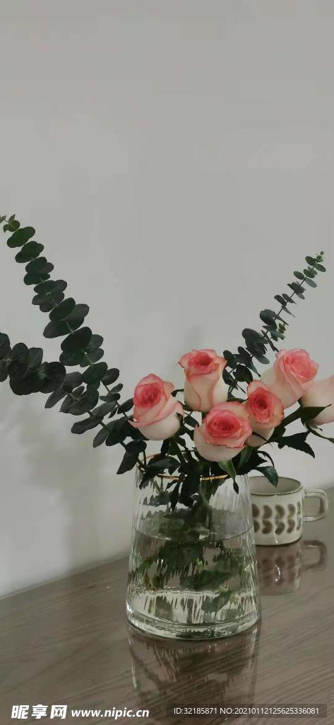玫瑰花图片