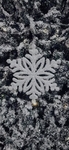 雪花图片