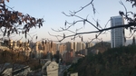 校园一角