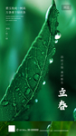 立春