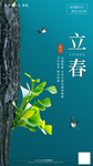 立春