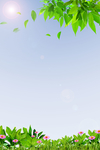 花草 树叶 蓝天 阳光 背景