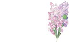 透明底鲜花PNG素材图
