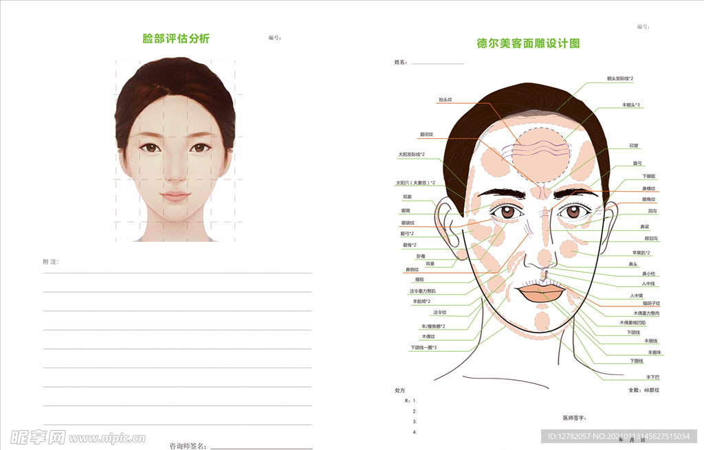 医疗美容设计线型图