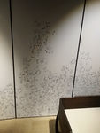 店面设计