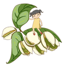 卡通开心果手绘