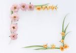 花框