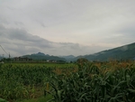 乡村雨后的傍晚