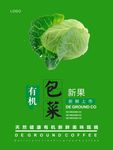 包菜海报
