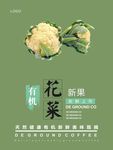 花菜海报