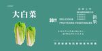 白菜展板