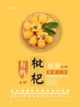枇杷海报