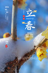 立春
