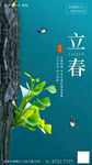 立春