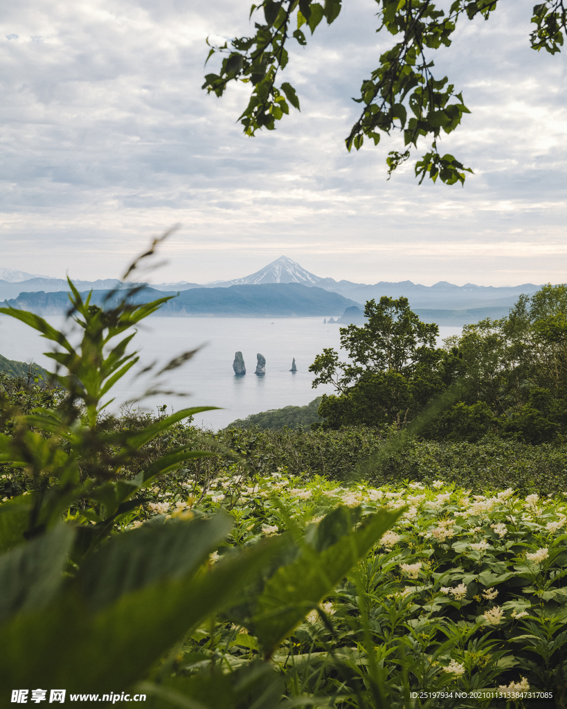 风景