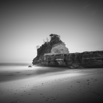 风景