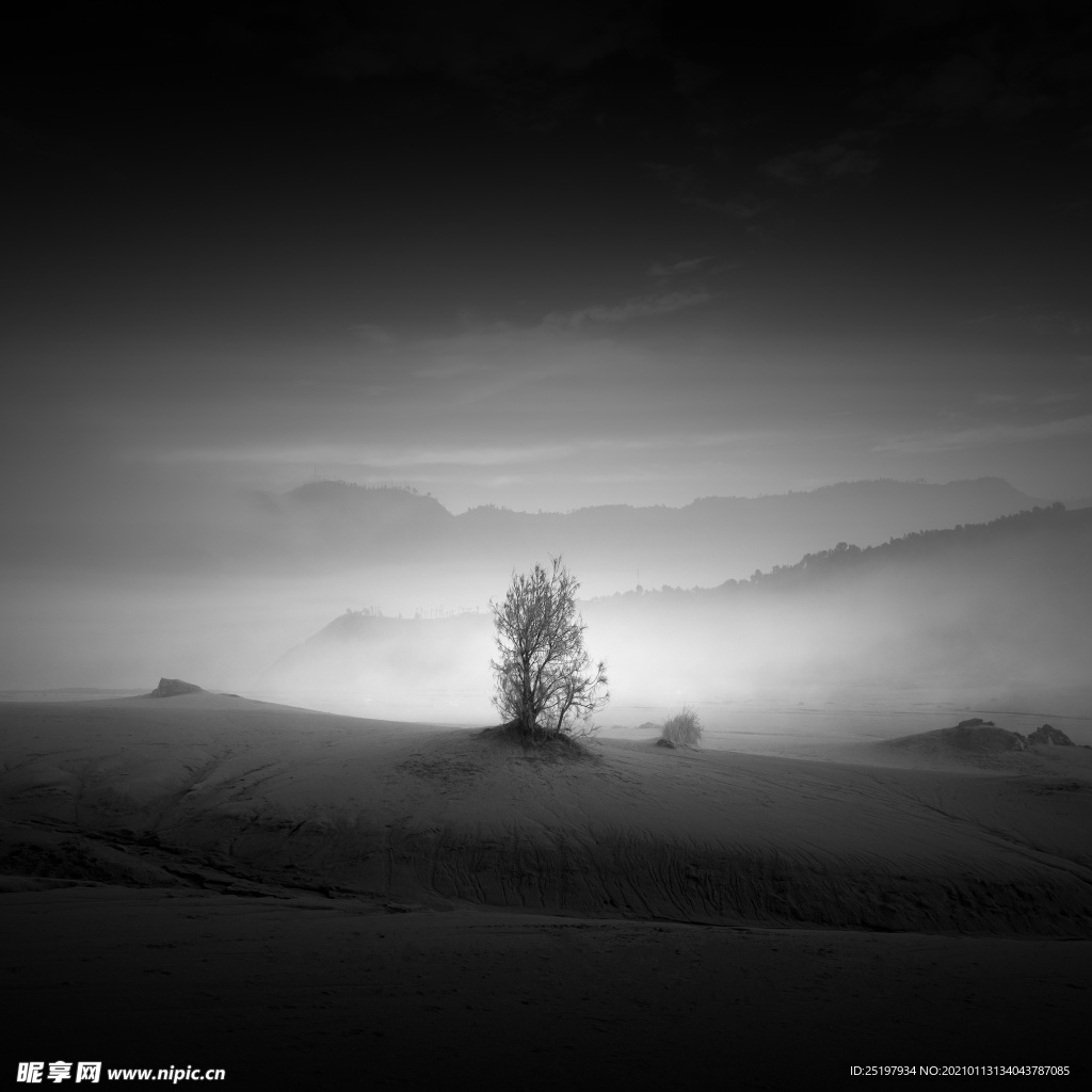 风景