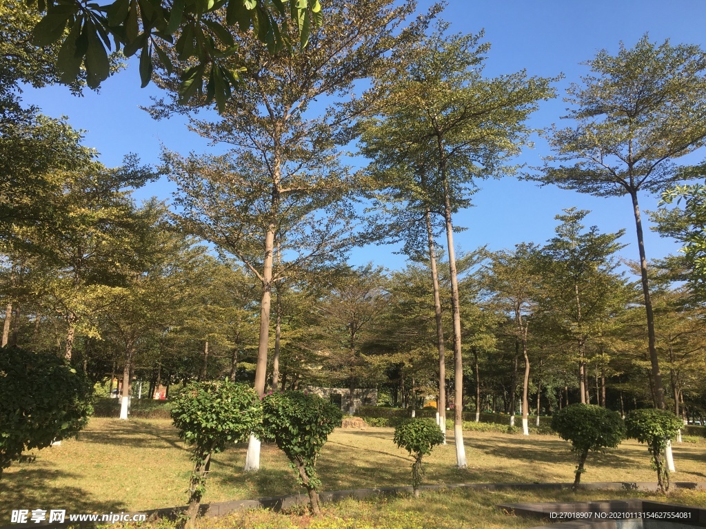 公园