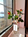 鲜花