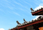 屋檐