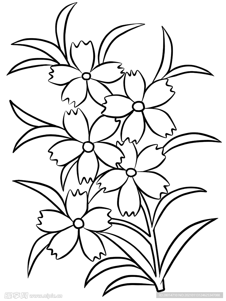 花卉素描