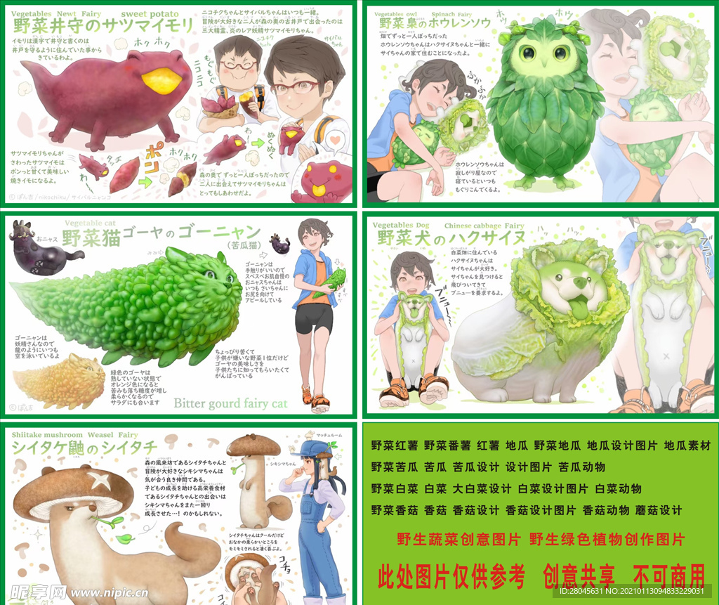 野生蔬菜设计 蔬菜设计图片
