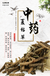 中药海报